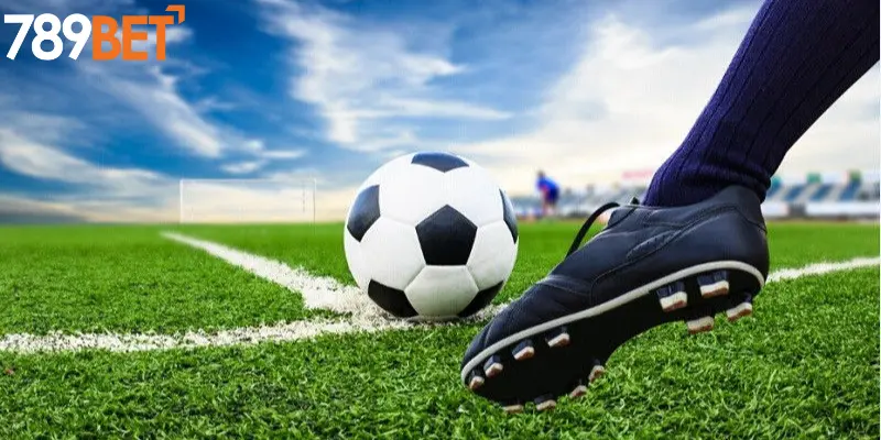 Cách Chơi Kèo Rung Hiệu Quả Nhất Ở 789BET 3 Chiến Thuật Đặt Cược Kèo Rung Hiệu Quả