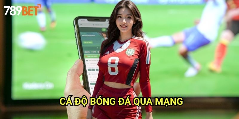 Cá Độ Bóng Đá Qua Mạng 789bet: Hướng Dẫn Chi Tiết Cho Người Mới
